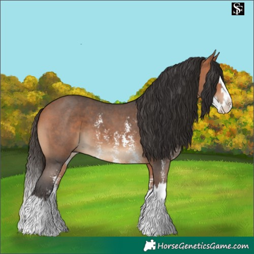 Horse Color:Bay Sabino Splash