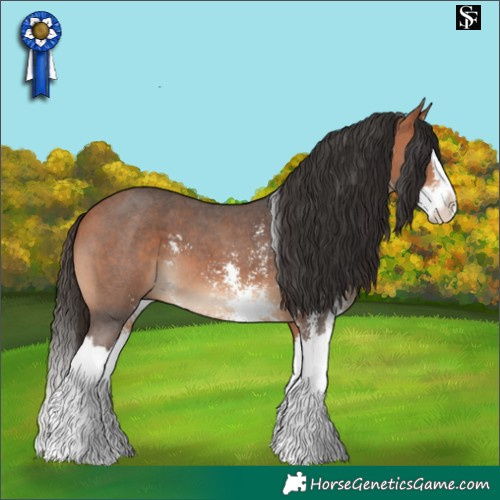Horse Color:Bay Sabino Splash 