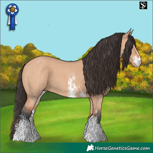 Horse Color:Bay Dun Sabino