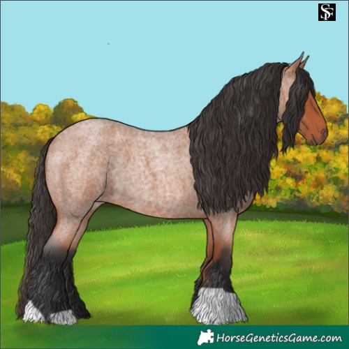 Horse Color:Bay Roan
