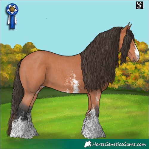 Horse Color:Bay Sabino