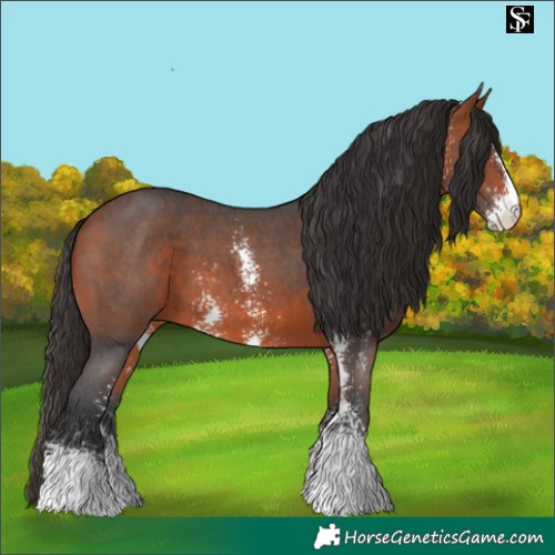 Horse Color:Bay Sabino