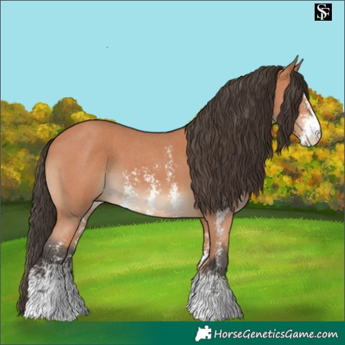 Horse Color:Bay Sabino 