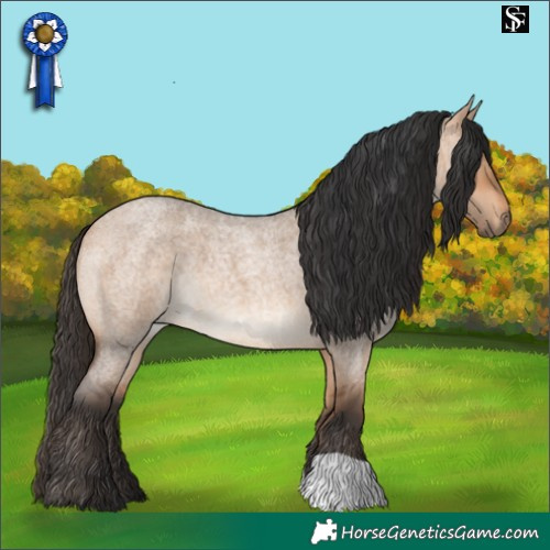Horse Color:Bay Roan Dun 