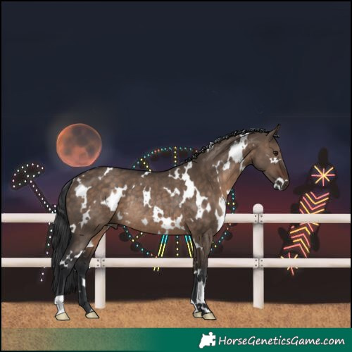 Horse Color:White Spotted Brown Dun Rabicano