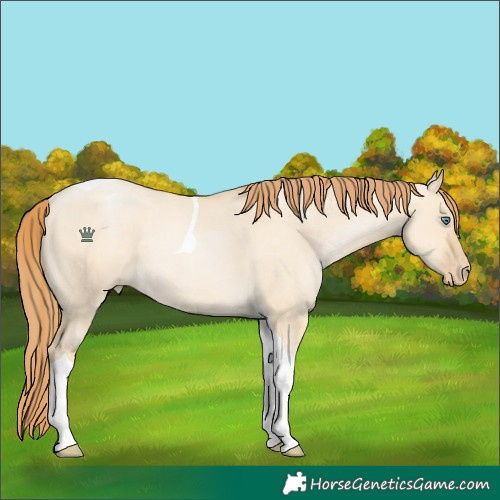 Horse Color:Smoky Grullo Pearl Tobiano