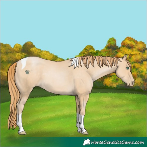 Horse Color:Smoky Black Pearl Tobiano