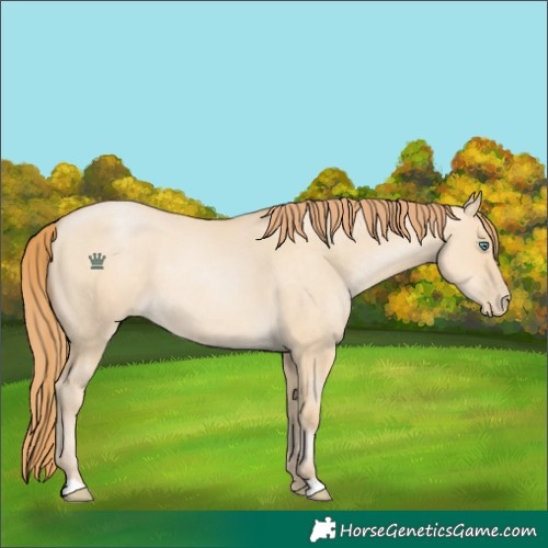 Horse Color:Smoky Grullo Pearl