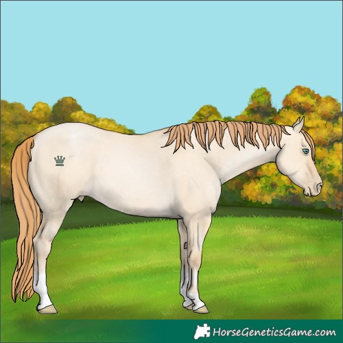 Horse Color:Smoky Grullo Pearl Tobiano 