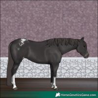 Horse Color:Smoky Black Tobiano Varnish