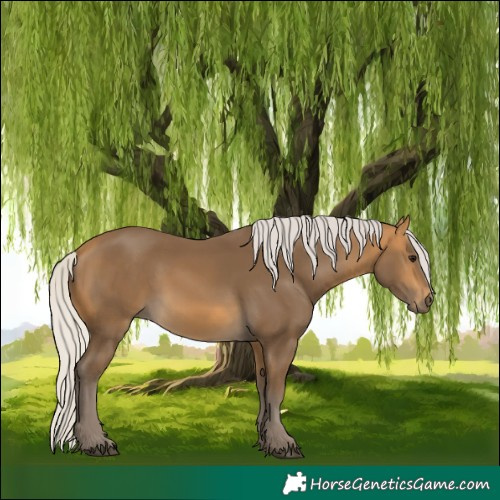 Horse Color:Silver Buckskin