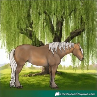 Horse Color:Silver Buckskin