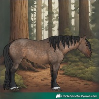 Horse Color:Brown Dun