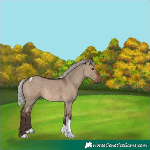 Horse Color:Silver Brown Dun Tobiano Rabicano