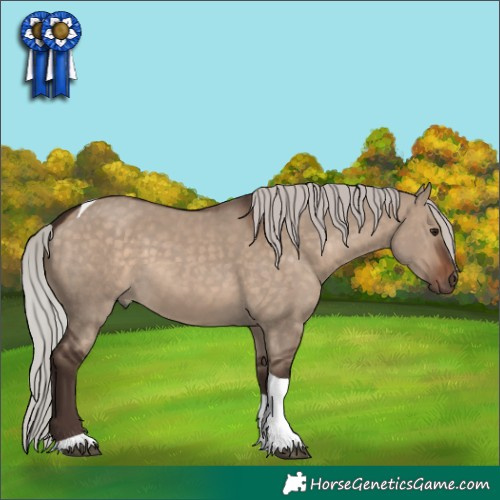 Horse Color:Silver Brown Dun Tobiano Rabicano 
