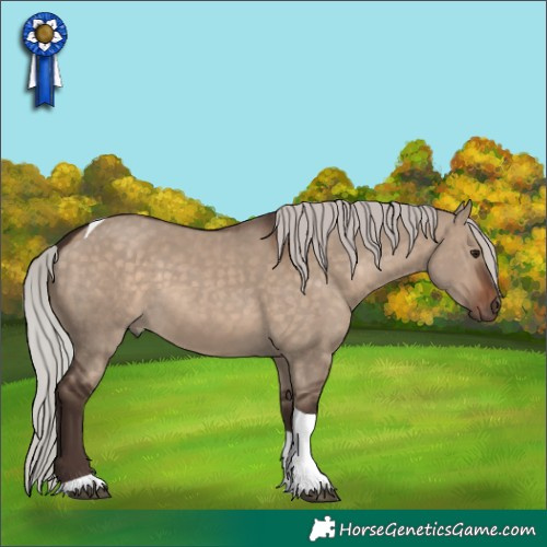 Horse Color:Silver Brown Dun Tobiano Rabicano 