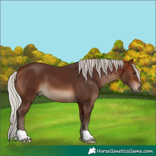 Horse Color:Silver Bay