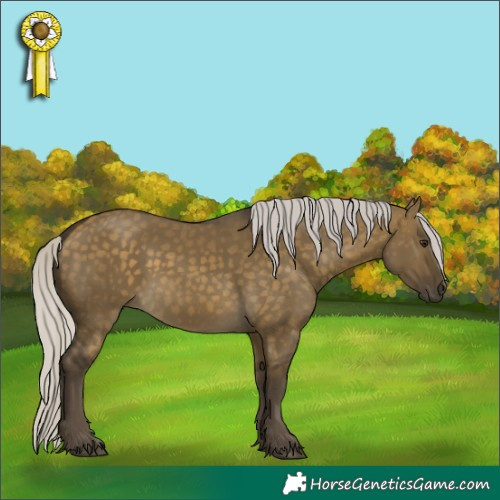 Horse Color:Silver Buckskin Dun