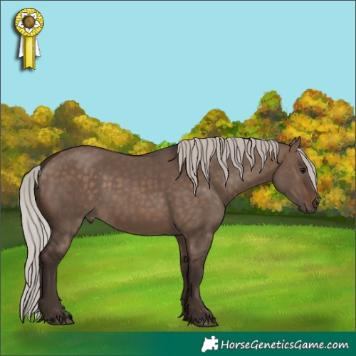 Horse Color:Silver Brown Dun