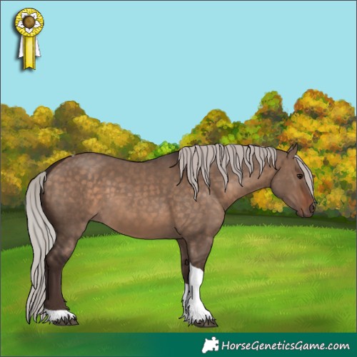 Horse Color:Silver Brown Dun Tobiano