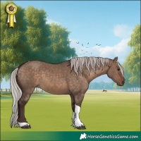Horse Color:Silver Brown Dun Tobiano