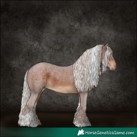 Horse Color:Silver Brown Tobiano 