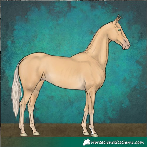 Horse Color:Gold Cream Champagne