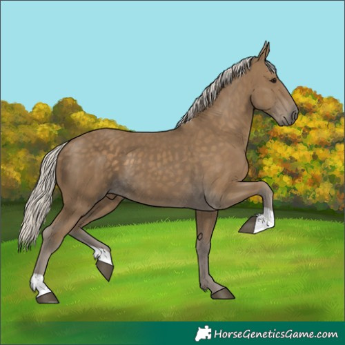 Horse Color:Silver Smoky Black