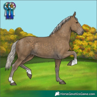 Horse Color:Silver Smoky Black