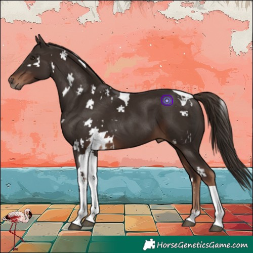 Horse Color:Liver Chestnut Tobiano and Liver Chestnut Tobiano