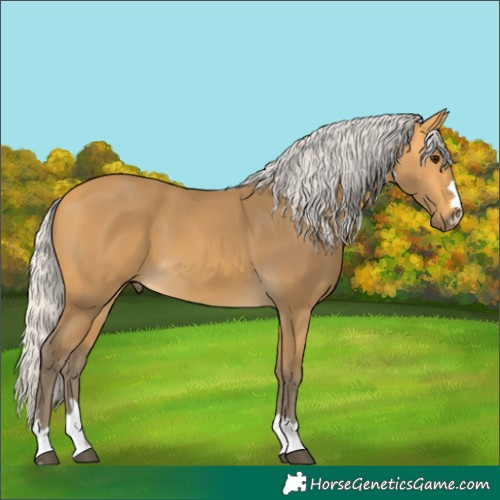 Horse Color:Unknown 