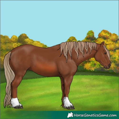 Horse Color:Unknown 