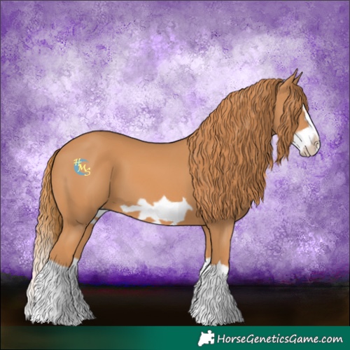Horse Color:Chestnut Splash Frame