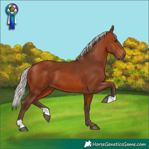 Horse Color:Silver Bay