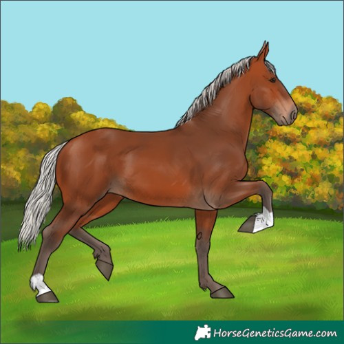 Horse Color:Silver Bay