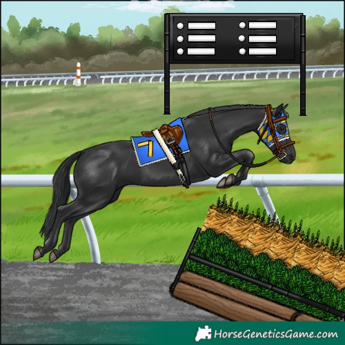 Horse Color:Black 