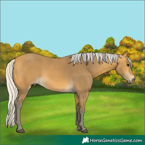 Horse Color:Silver Buckskin