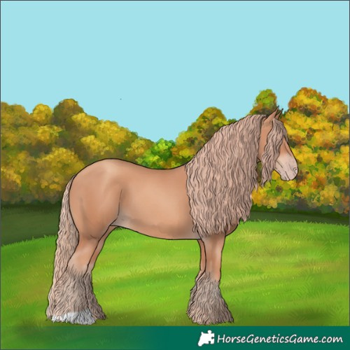 Horse Color:Gold Champagne 
