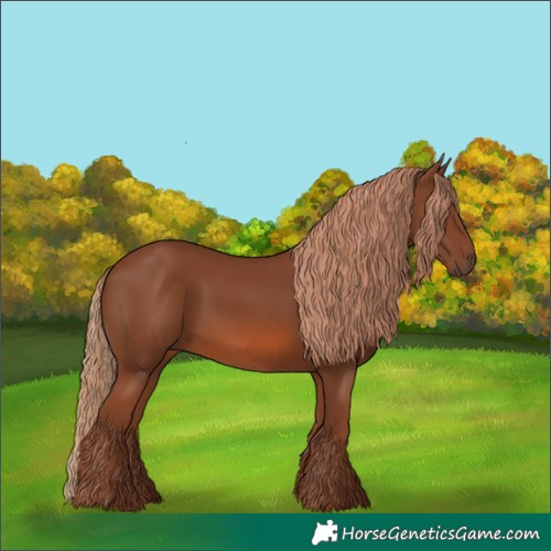 Horse Color:Chestnut 