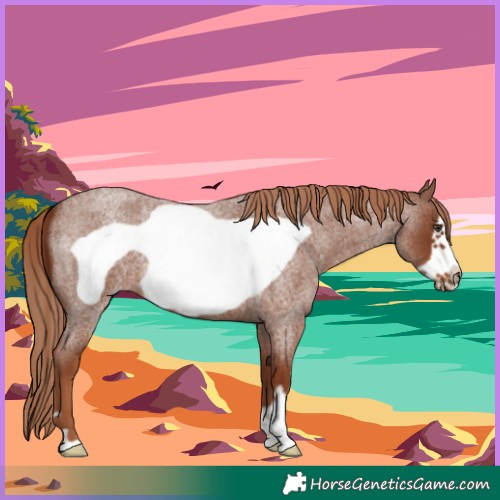 Horse Color:Red Roan Frame 