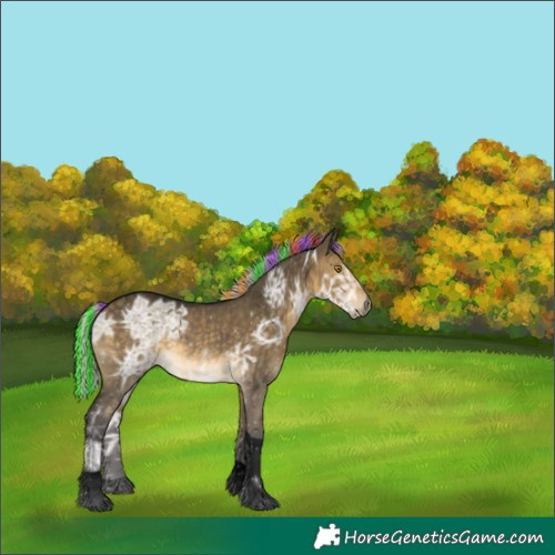 Horse Color:Void Painted Silver Buckskin Ice Dun Tobiano 