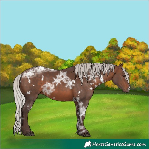 Horse Color:White Spotted Silver Brown Ice Sabino