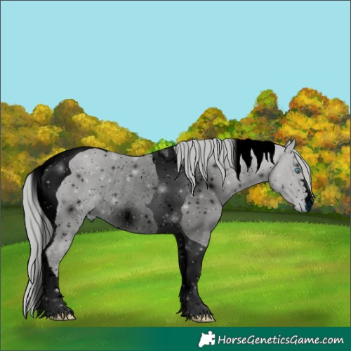 Horse Color:ERROR: UNKNOWN ANOMALY