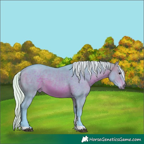 Horse Color:Watercolor Silver Brown Sabino Tobiano Rabicano