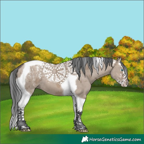 Horse Color:Powder White Brown Dun Merle Splash Tobiano