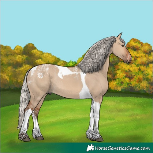 Horse Color:Powder White Silver Brown Dun Tobiano Rabicano 