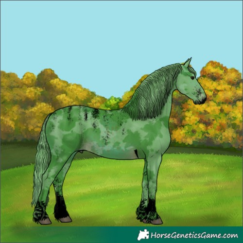 Horse Color:Powder White Void Watercolor Brown Merle Tobiano 