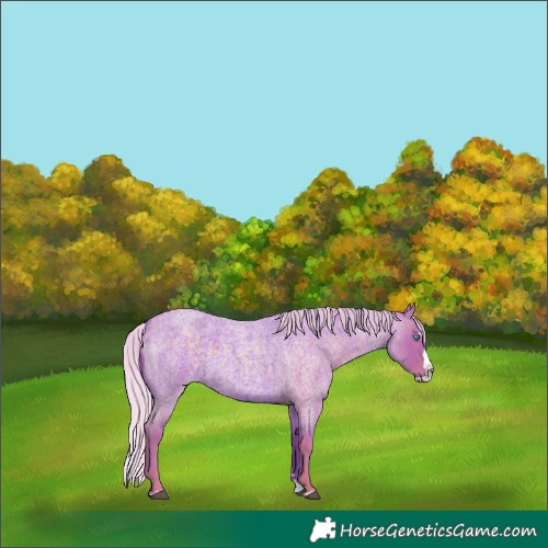 Horse Color:Watercolor Silver Blue Roan Splash 