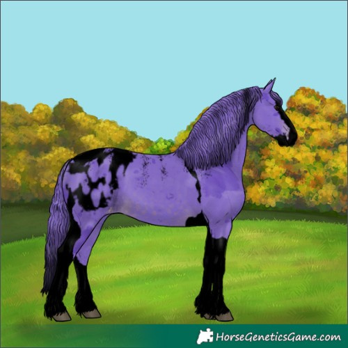 Horse Color:Powder White Void Watercolor Brown Merle Splash Tobiano Blanket