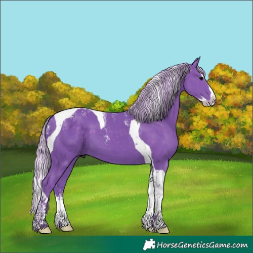 Horse Color:Powder White Watercolor Silver Black Splash Tobiano